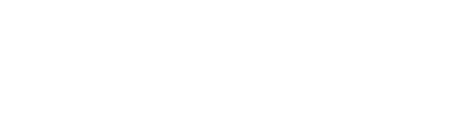 Polyvere Logo